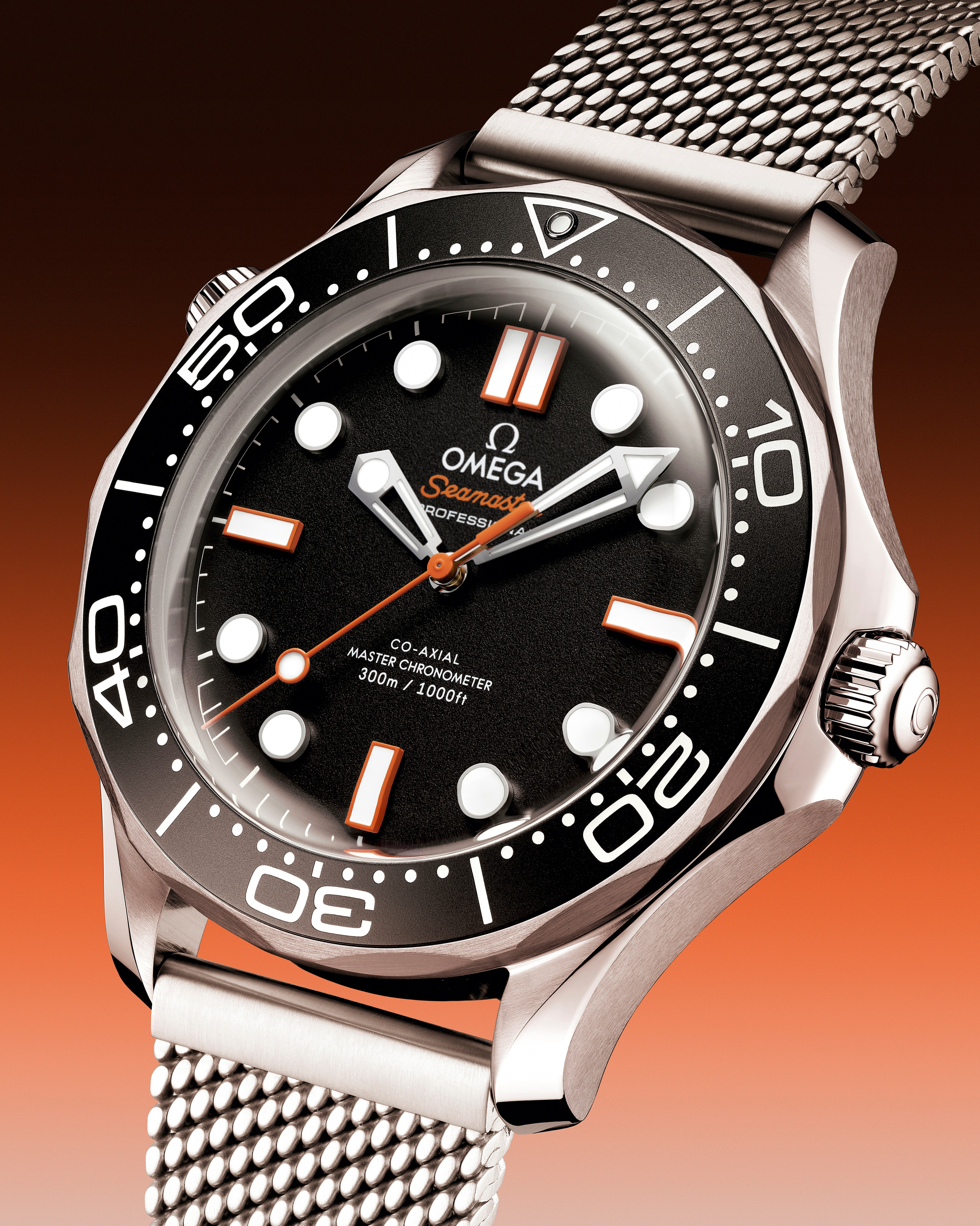 Seamaster Diver 300M 42 mm Steel on Steel